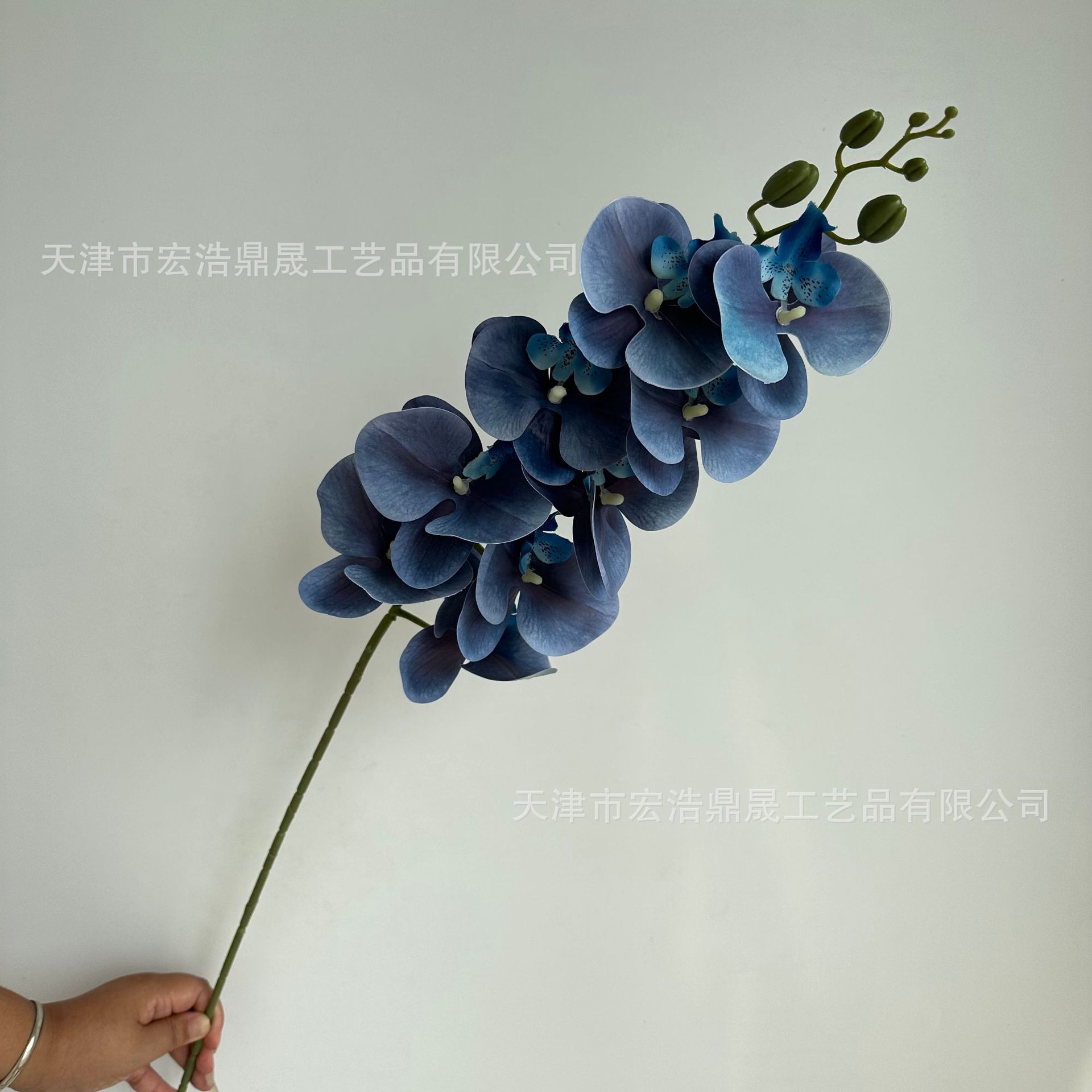 210863b4667b12d3be3e6bffb97eef