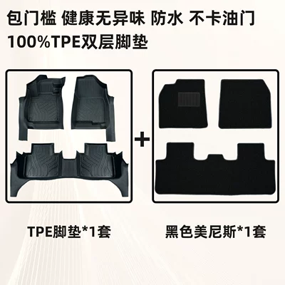 Modelə uyğun ayaqaltı Tpe Car Floor Mats with
