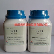 R2A��֬  BR250g  ���u���� һƿ����