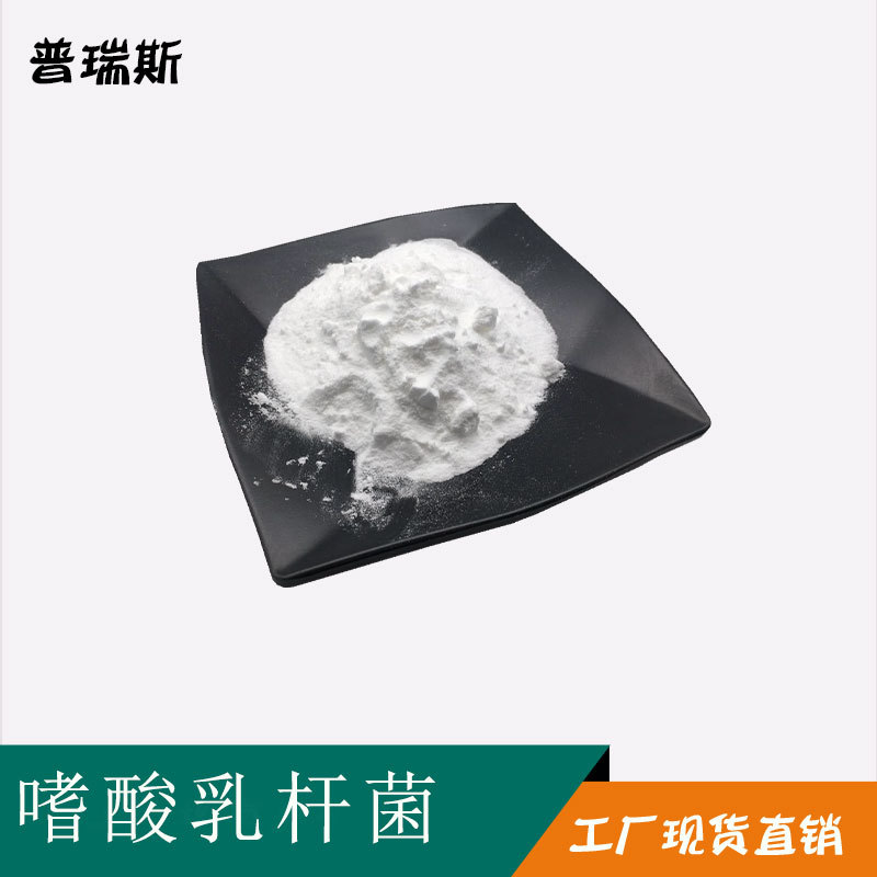 嗜酸乳杆菌 100亿/g 嗜酸乳杆菌粉 植物乳杆菌 厂家现货