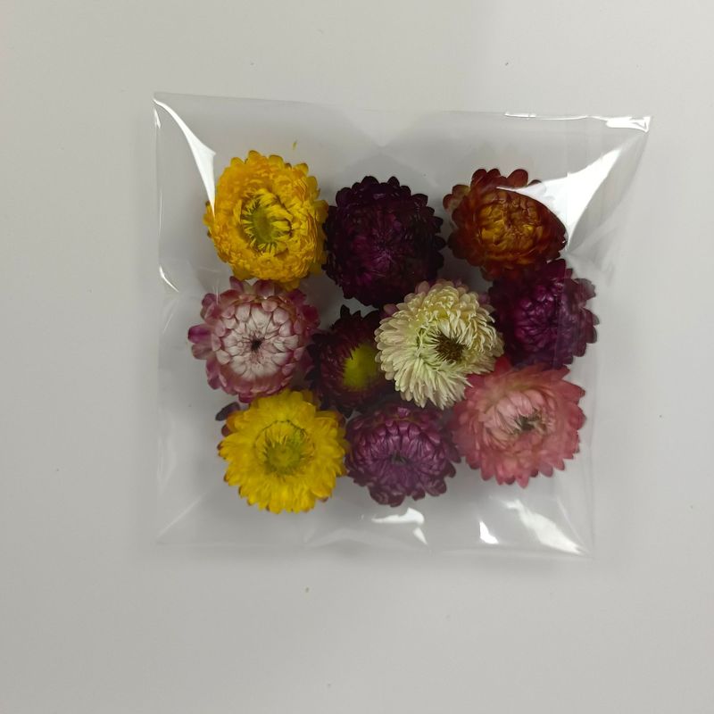 麦わら菊の花の頭の乾いた花の七色の菊の頭のDIYの材料は自然な真の花の雲南の源の工場を包んで卸売りします。|undefined