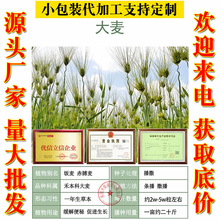 �����r�������ݾGɫ��ͥ�@ˇ�N���߲˷N���_���ļ����N�Ӳ��N����