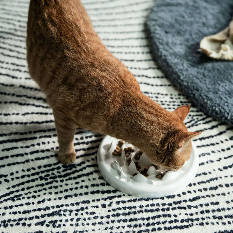 New Cats and Dogs Slow Food Bowl Healthy Anti-choking Cat Bowl Muppet Slow Food Cat Food Bowl Dog Bowl Pet Supplies
