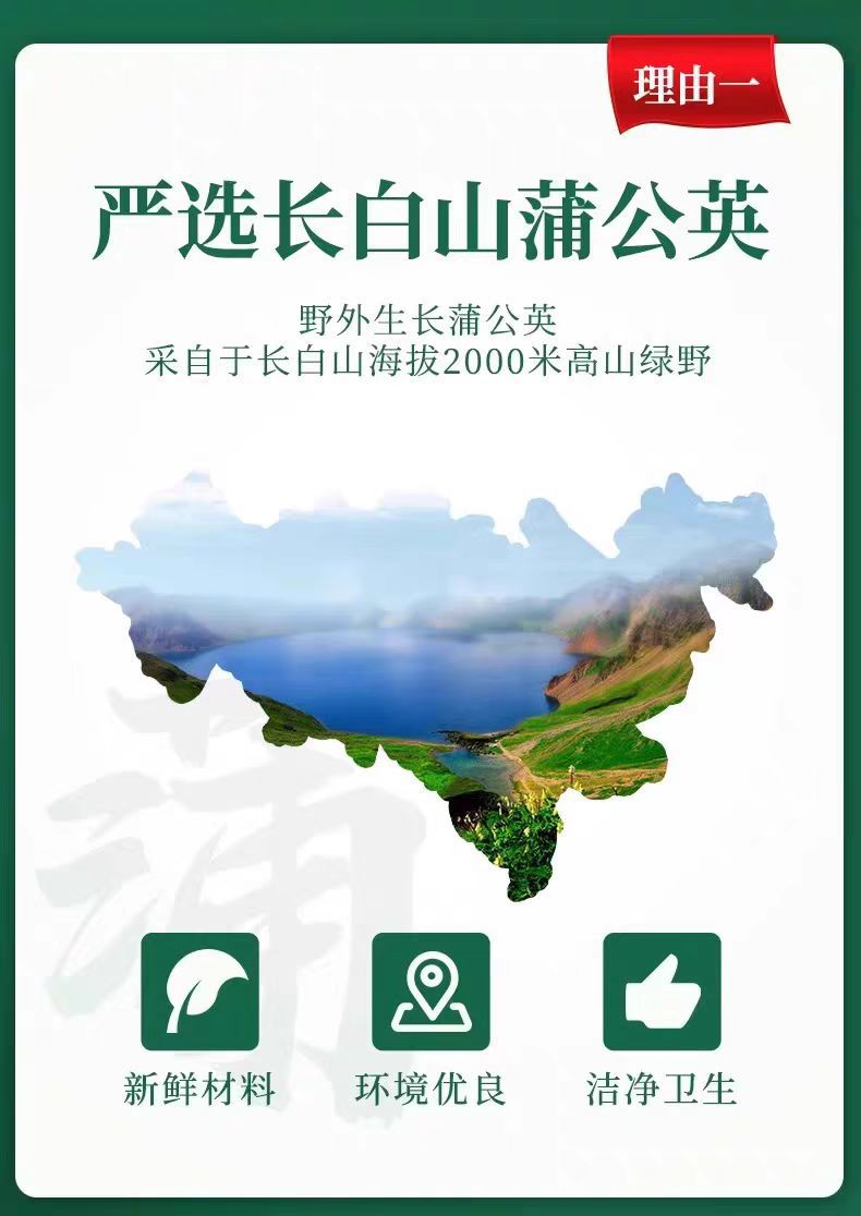 Changbai Mountain Dandelion Tea (Taraxacum mongolicum) — Loose Dried Herbal Tea, 500g overview