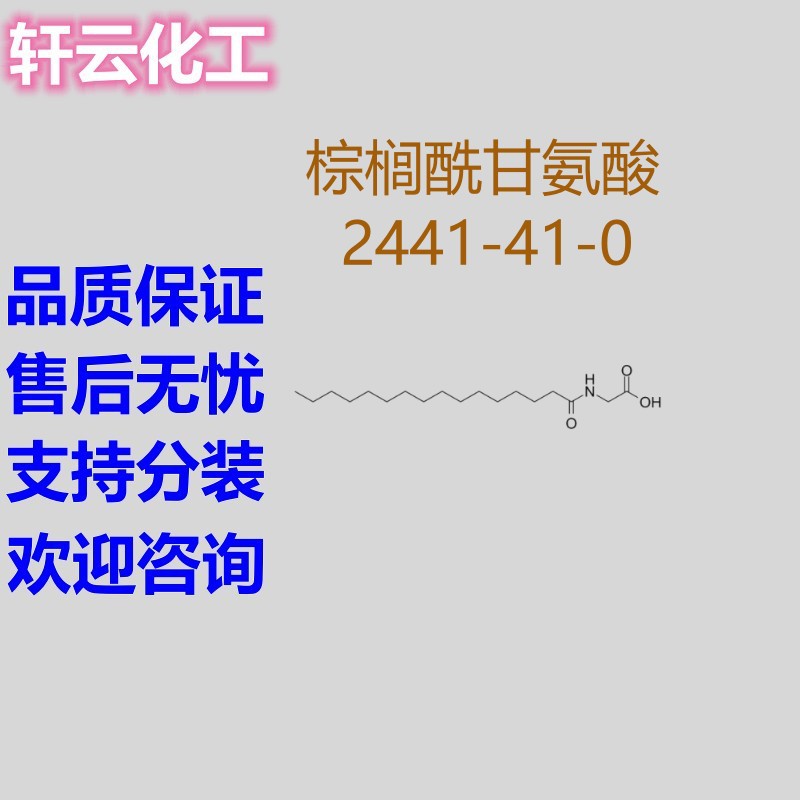 棕榈酰甘氨酸 （2441-41-0）