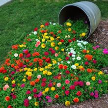 ˹˲~߲ļ_Nˮ໨ܷNӏSl