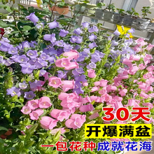 �L⏻��N���L⏲�����ͥԺ���^�����҃��̨�����ļ��׷N���ܷN��