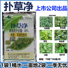 扑草净中山40%藕塘除浮萍甘蔗田大豆田茶园苗圃水稻田除阔叶杂草