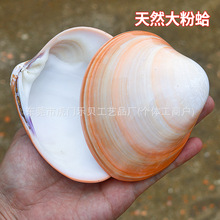 ��Ȼ�۸��ɫ��ؐ���~���쾰�Ҿ��b�Ʒ�ղؔ[���������նY�����l