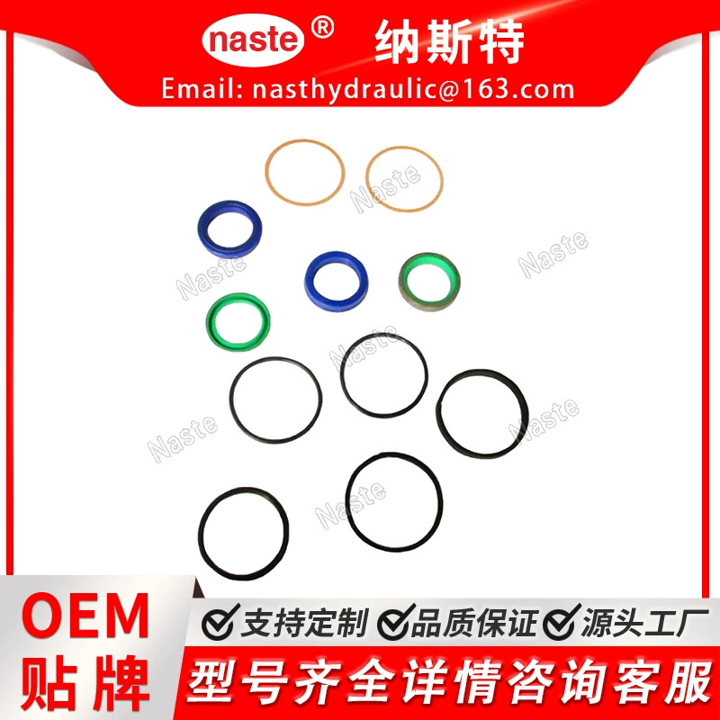 Комплект уплотнения цилиндра кейса G110045 с усилением рулевого управления для Case 580K Backhoe 2WD