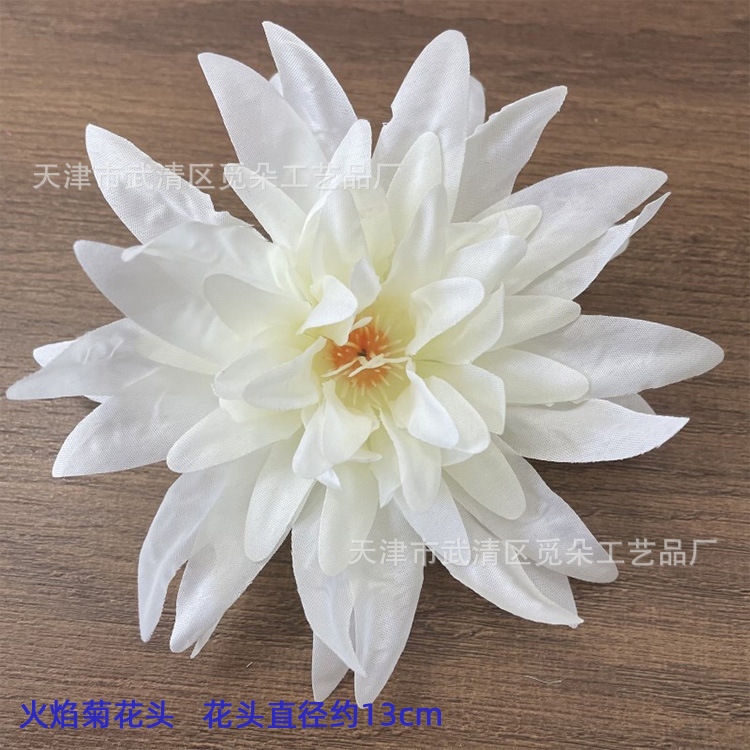 불꽃 국화