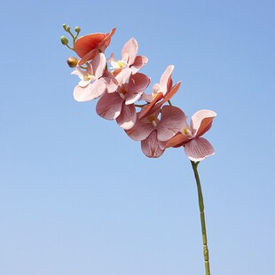 7�^�zӡ�m��  ���F�����m  ���滨�ٻ� �ҾӔ[��ܛ�b�b�c����