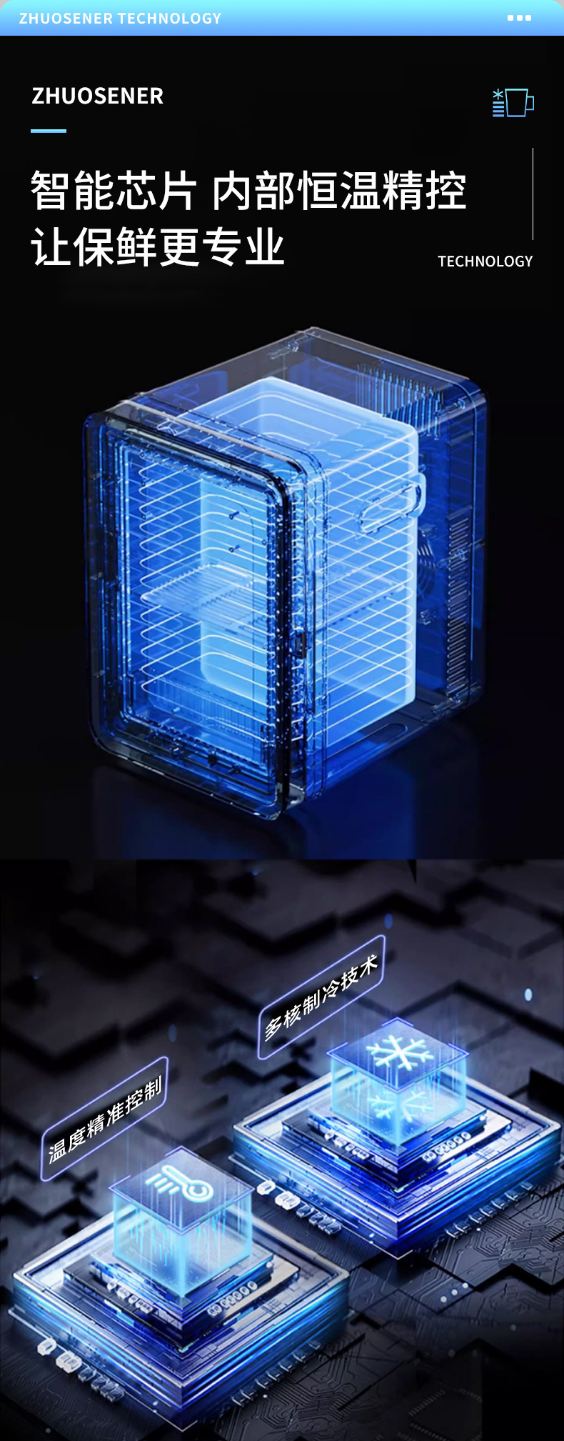 Mirror-Finish Mini Fridge, Car Fridge, Led Light, Dormitory Breast Milk, Facial Mask, Essence, Medicine Storage, Preservation Mini Fridge