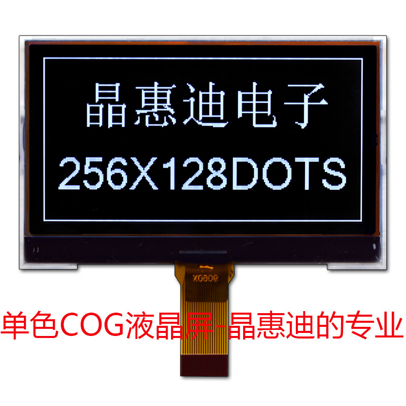 LCDҺ/256*128/3/ڵװ//FSTN//