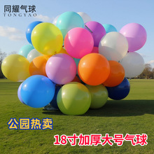 ��ƺ���Ɵ��u18��A�Κ����̖�R����36�}�Q�Ɍ������b�Y����