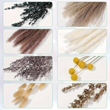 ��β�ݸɻ���β�� ins�L���W�羳���R�d�滨���DIY�ɻ���β��