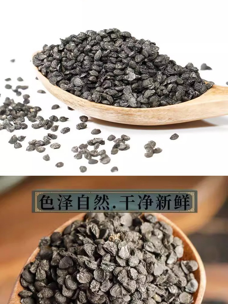 Chinese Chive Seeds Jiu Cai Zi 100g Bottle Dried Allium Tuberosum Seeds Traditional Herbal Tea Ingredient quality and texture