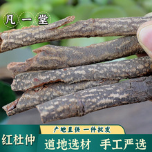 ����һ�á��t���� �����x�� �t�����پ�ţ���u����