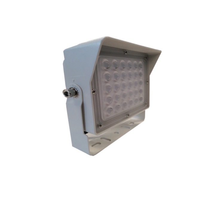 DS-2FDL5130-OW-485 海康威视物流监控专用补光灯 1W光源/30颗