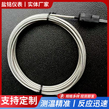 厂家供应J型热电偶插头式露点式 J型热电偶 温度传感器