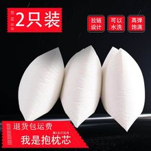 一对装枕芯抱枕芯抱枕芯50x50可水洗沙发靠垫内胆靠背加厚厂批发