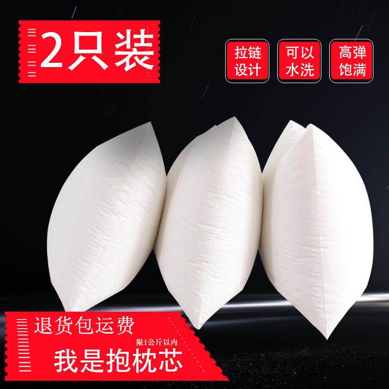 一对装枕芯抱枕芯抱枕芯50x50可水洗沙发靠垫内胆靠背加厚厂批发