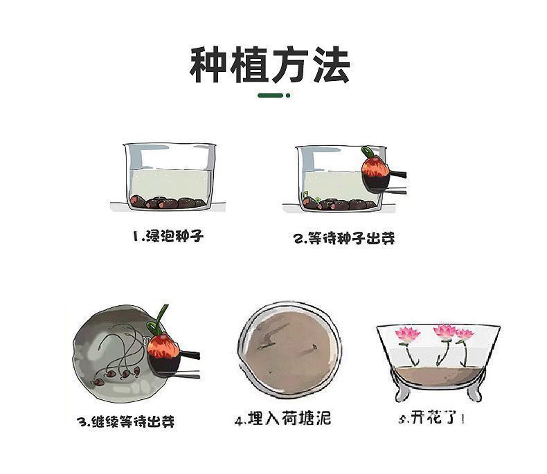 cd74e6c0-d88a-411a-a11f-4d995708fe94.jpe