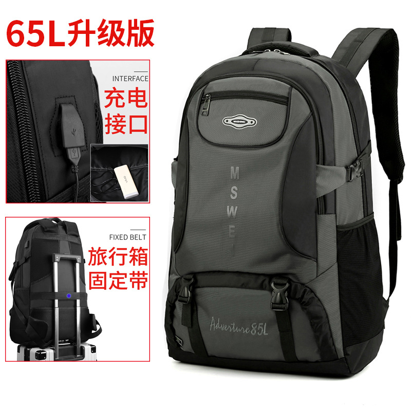 큰 [회색 65L]]