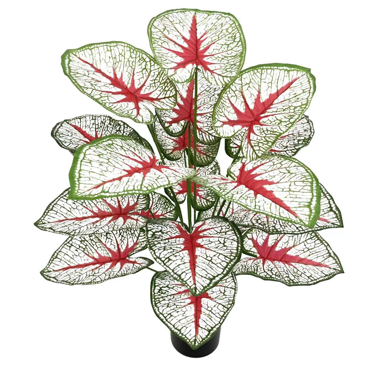 微信图片_20221223220721