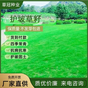 ���l�ͺ��ͺ��͸ߜ��o�¹����G�����B�ޏ��ļ�������ݸ���é����