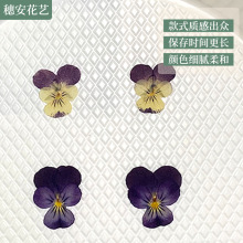 ���l��ɫ��ɫ���ɻ��������֙C���l�A��껨�NƬ�Ʒ�Ʒdiy����