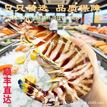 �������߹��r�ؾŹ��r�߹��r�������r�ش�����r�r���ك����r��