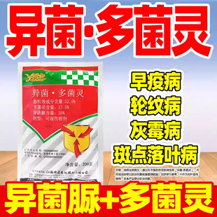 ���52.5%��������`�������������t�����߲������rș����������