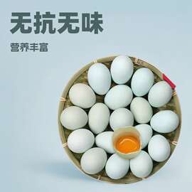 碧然康 富硒无抗绿壳土鸡蛋480枚/件 无腥味新鲜