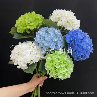 �ָб�����132Ƭ�o�M�Ľ�����滨�߼���ˮϴ�zƬ����Ҿ�ܛ�b