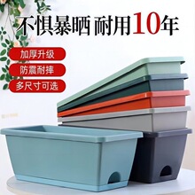 ?�¿�Ӻ�����ͥ�̨�N���N�����L���ηNֲ�ۑ������ϻ�����