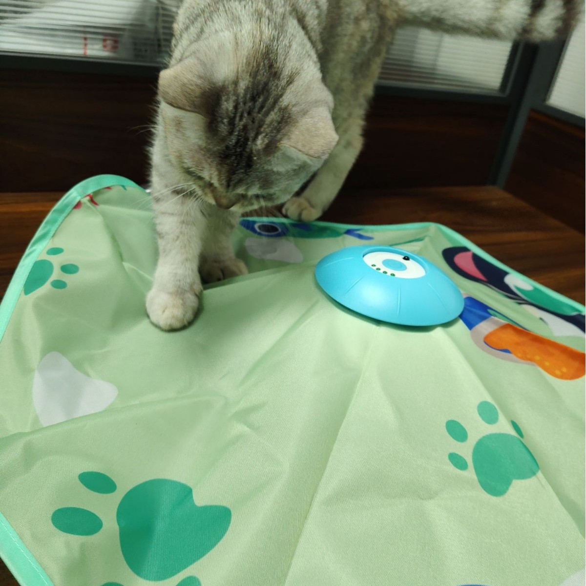 ����綯è���USB���ܶ�è����ң��αװ����滻�綯����è���