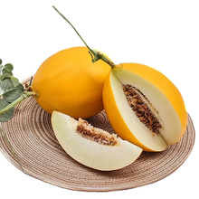 ���������ţ���۹����rˮ����ϰ��]�a��ֱ�lţ���۹�һ�����l