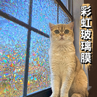 �ʺ粣���N�������������QĤ�͏d�Ӻ��o��Ųʲ����NĤ͸�ⲻ͸��