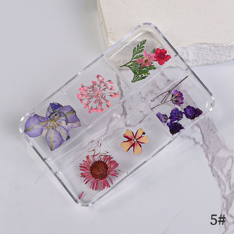 Uña flor seca japonesa pequeña fresca estrella de sol mixta flor real flor pequeña flor de manicura caja de flores secas manicura