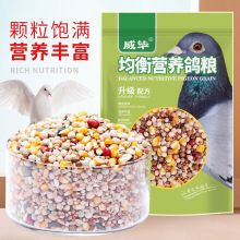 威毕营养鸽粮鸽子饲料用品信鸽赛鸽种鸽带玉米小颗粒豌豆粮食鸟食