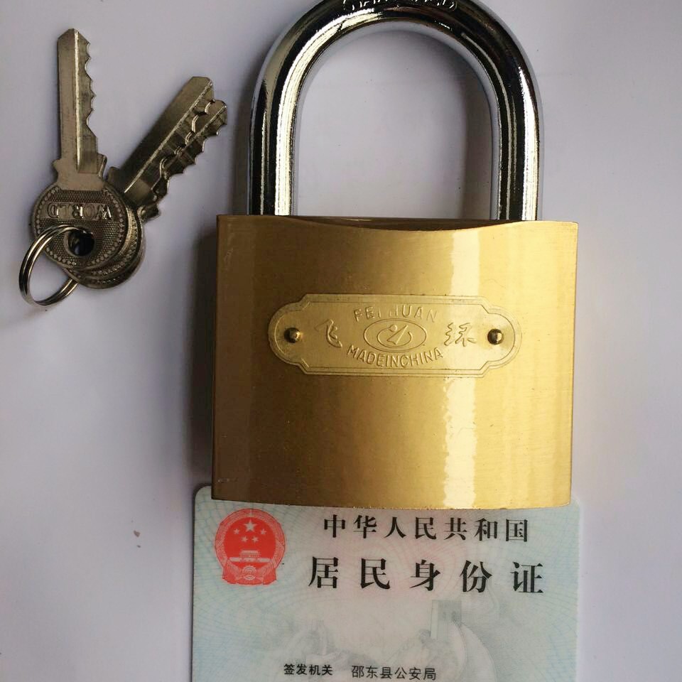 Cerradura de anillo volante cerradura de bloqueo de Internet café cerradura de caja de medidor eléctrico cerradura de cobre cerradura cerradura de gabinete cerradura pequeña cerradura