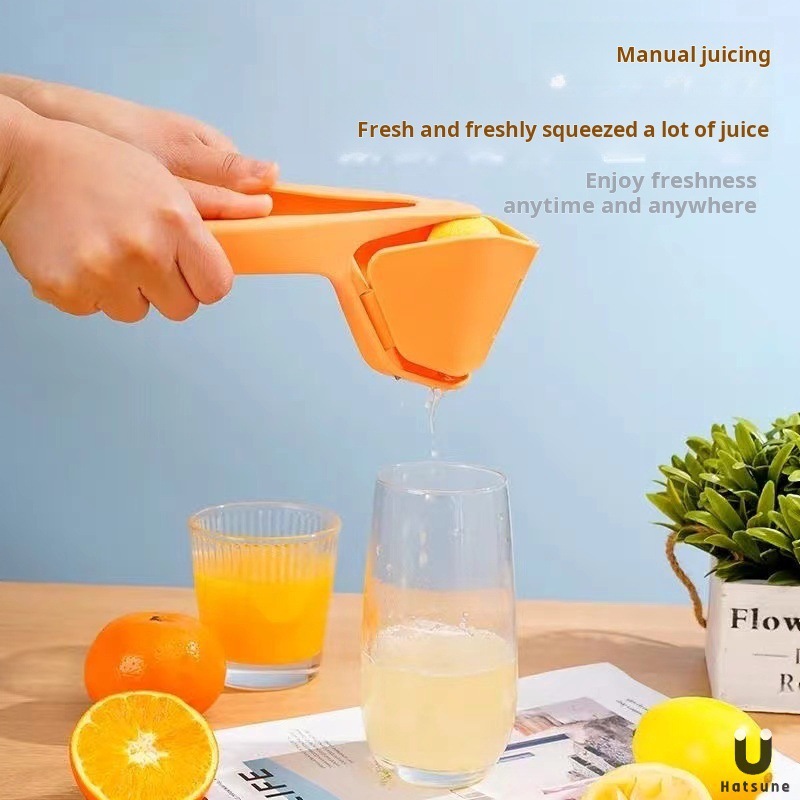 Juicer de frutas manual Juicer multifuncional Juicer de frutas image 7