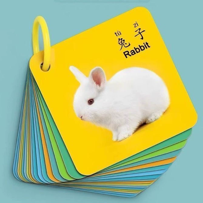 Детская двухсторонняя развивающая игрушка грамотность карта детское просвещение животных карта без рисунка когнитивная карта раннего образования