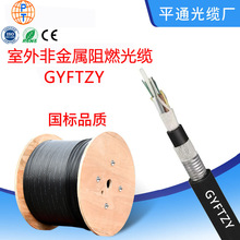 �ǽ�����ȼ���|GYFTZY����12/24/48/96/144о��ģ���z�b���w����