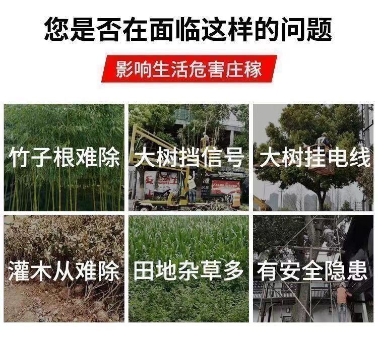 b5ab12cc-eb36-455b-ad03-3d00dc035b6a.jpe