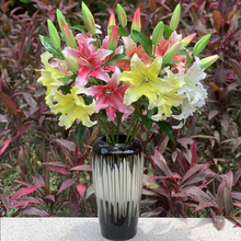 ���滨4�^�ָ�PU����ٺϻ��ٻ���c�Ҿ��b���ֲ��������Ի�