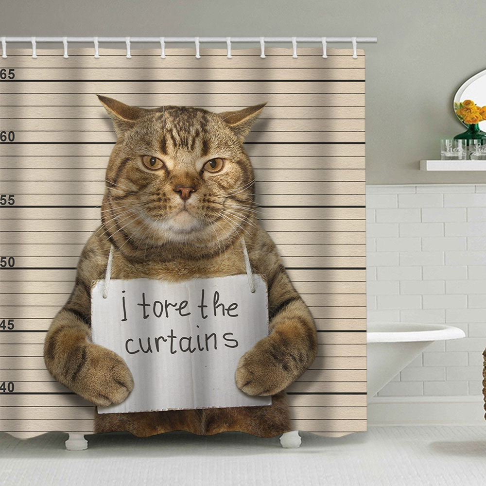 재미있는 고양이