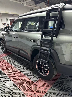 Roof rack Blue G318 Car Roof Rack - ladder
