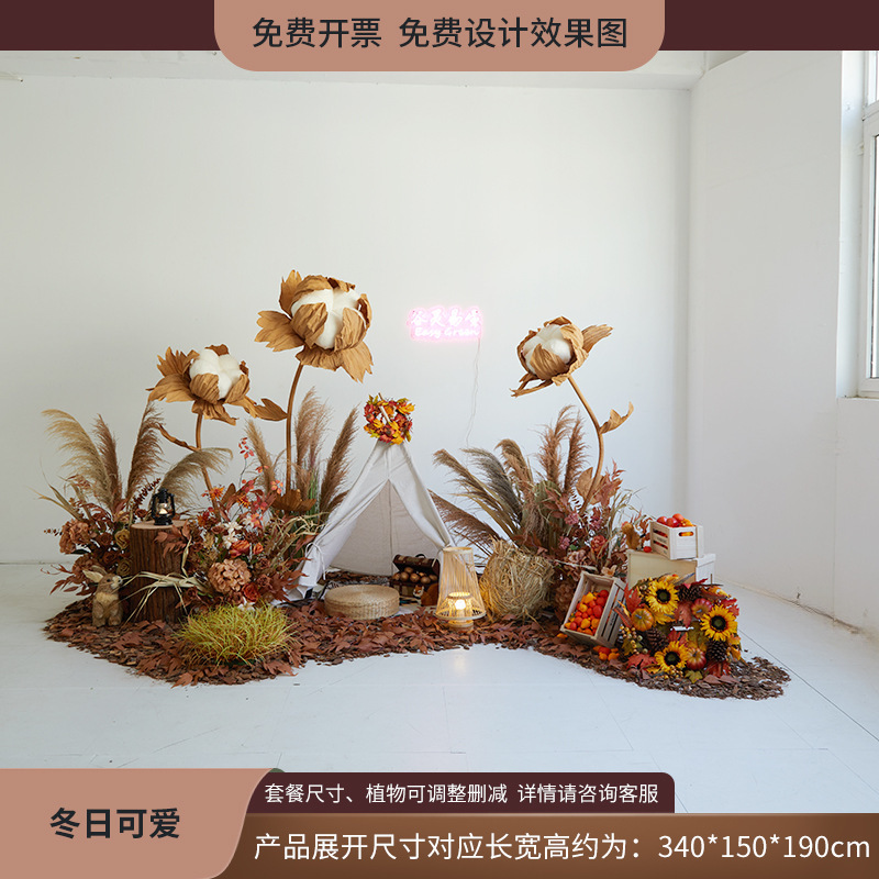 植物造景假绿植棉花云朵芦苇干花装饰直播间秋冬橱窗场景布置日暖|undefined